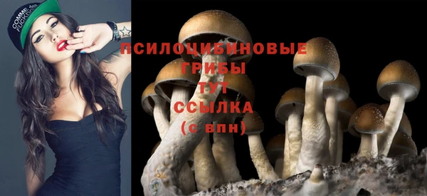 марки nbome Аркадак