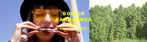 прущие грибы Алзамай