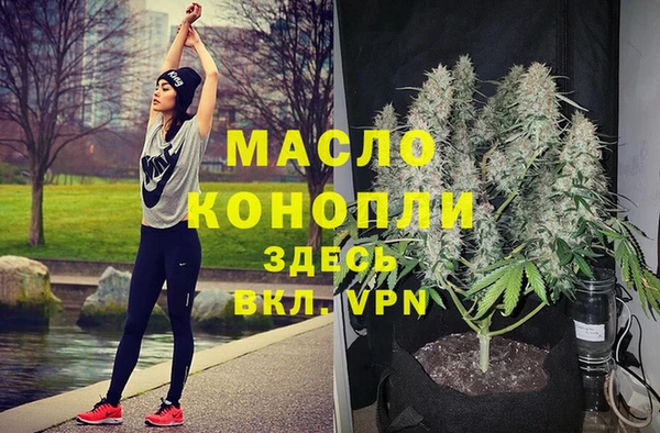 гашик Арсеньев