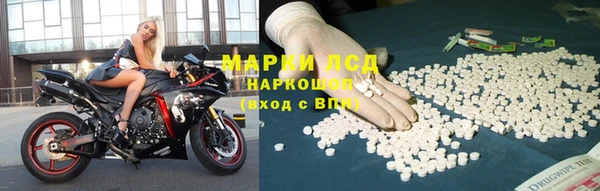 прущие грибы Алзамай