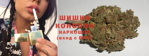 прущие грибы Алзамай